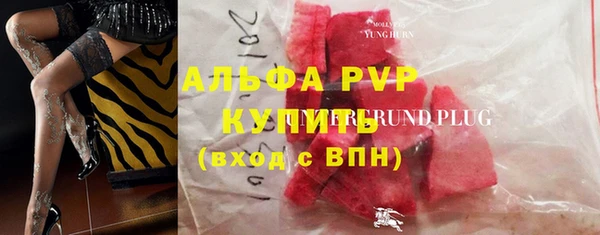 бошки Богданович