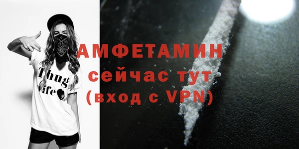 mdpv Богородицк
