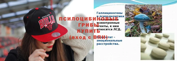бошки Богданович