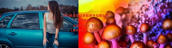 гидра Бугульма