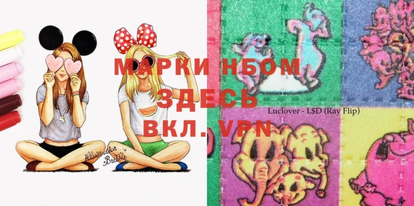 гашик Новокубанск