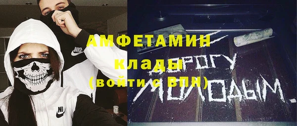 mdpv Богородицк