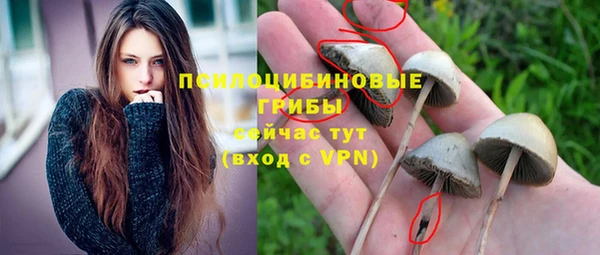 гидра Бугульма